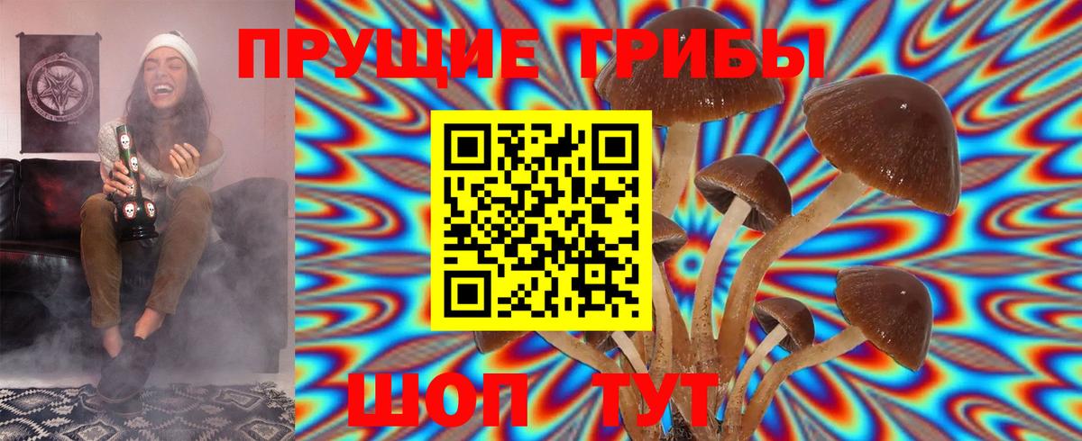 Можга  Псилоцибиновые грибы Psilocybine cubensis  Вход с VPN 