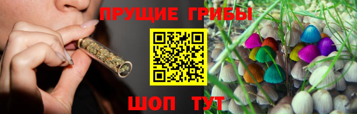 Галлюциногенные грибы Psilocybe Можга